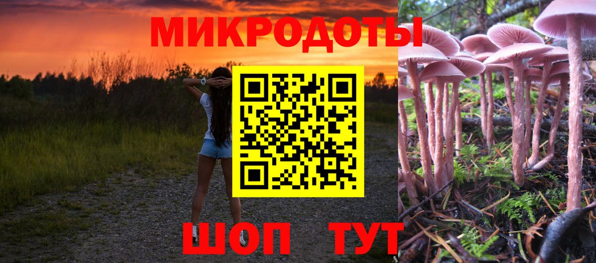 Псилоцибиновые грибы GOLDEN TEACHER  Вход с VPN  Верхняя Пышма  Галлюциногенные грибы Magic Shrooms 