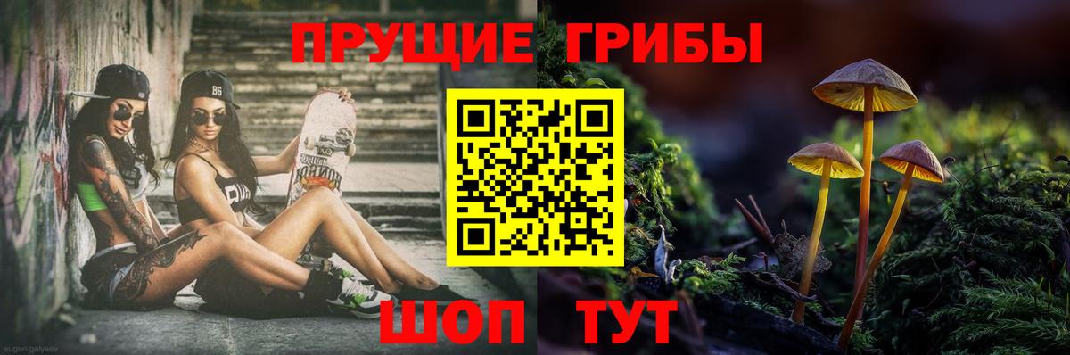 Галлюциногенные грибы Psilocybe Верхняя Пышма